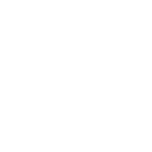 Ring Light